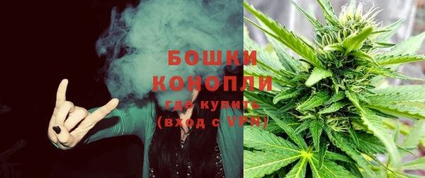 СК Корсаков