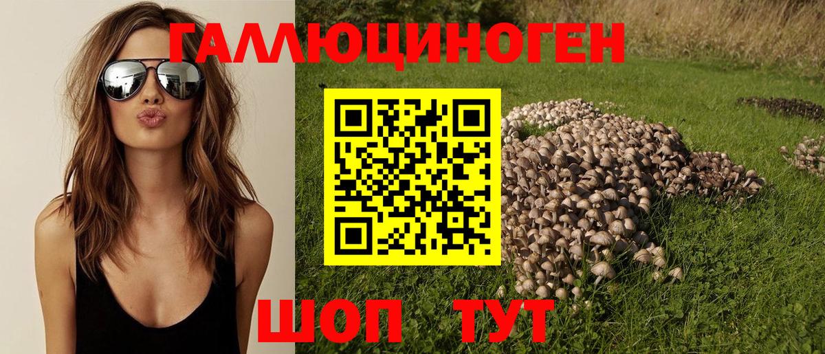 Галлюциногенные грибы прущие грибы  Псилоцибиновые грибы Cubensis  Вход с VPN  Карталы 