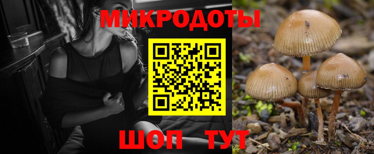 Галлюциногенные грибы Magic Shrooms Карталы